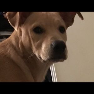 Meet your Posher, Miguel